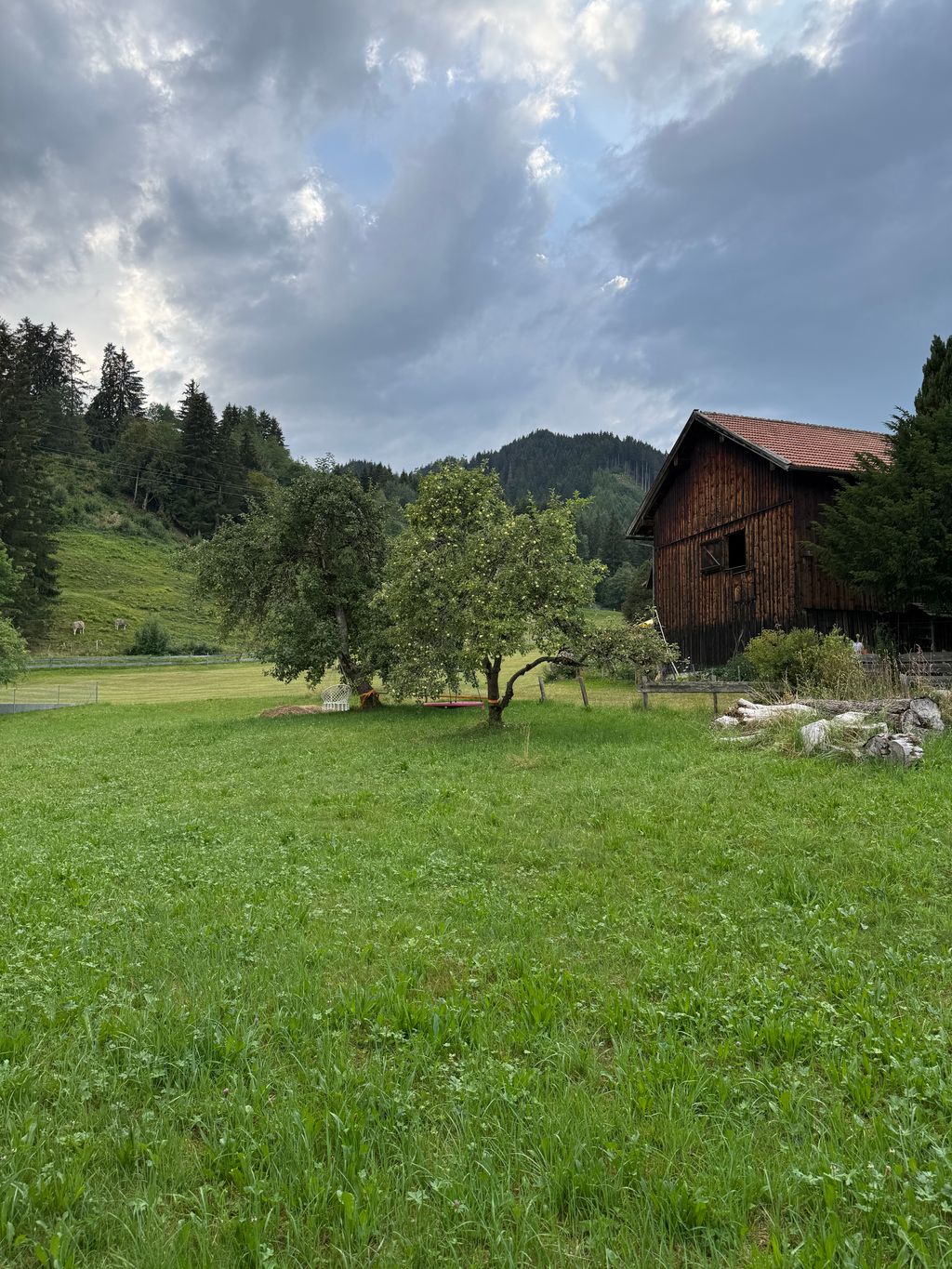 Camping Spot Under an Apple Tree in the Allgäu