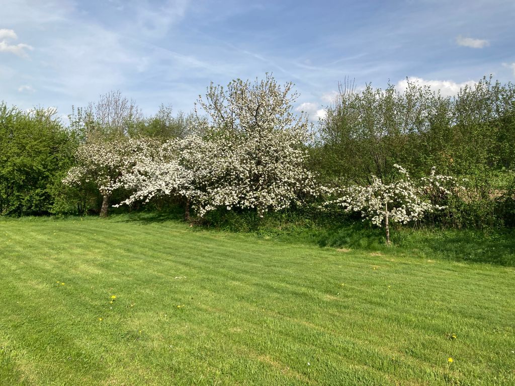 Antigua granja de ovejas