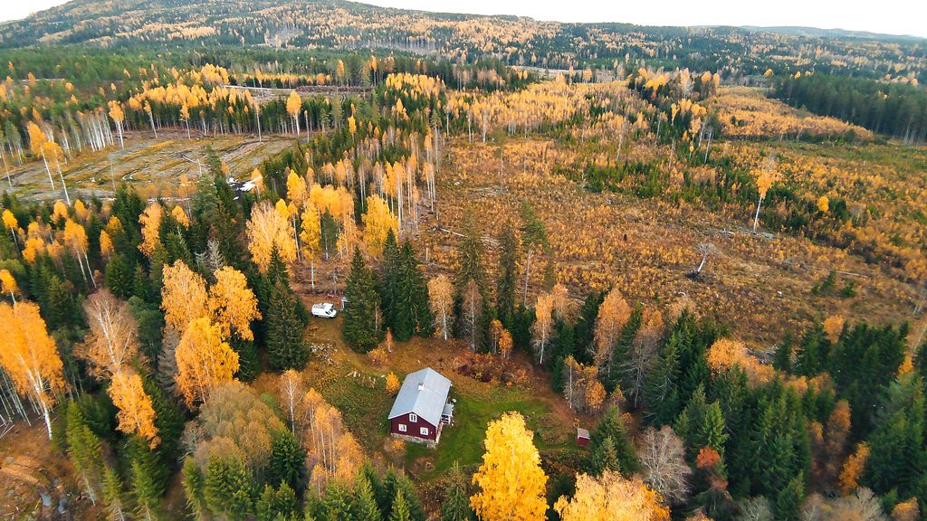 Cabaña de madera Suecia Lugar aislado Bosque Värmland
