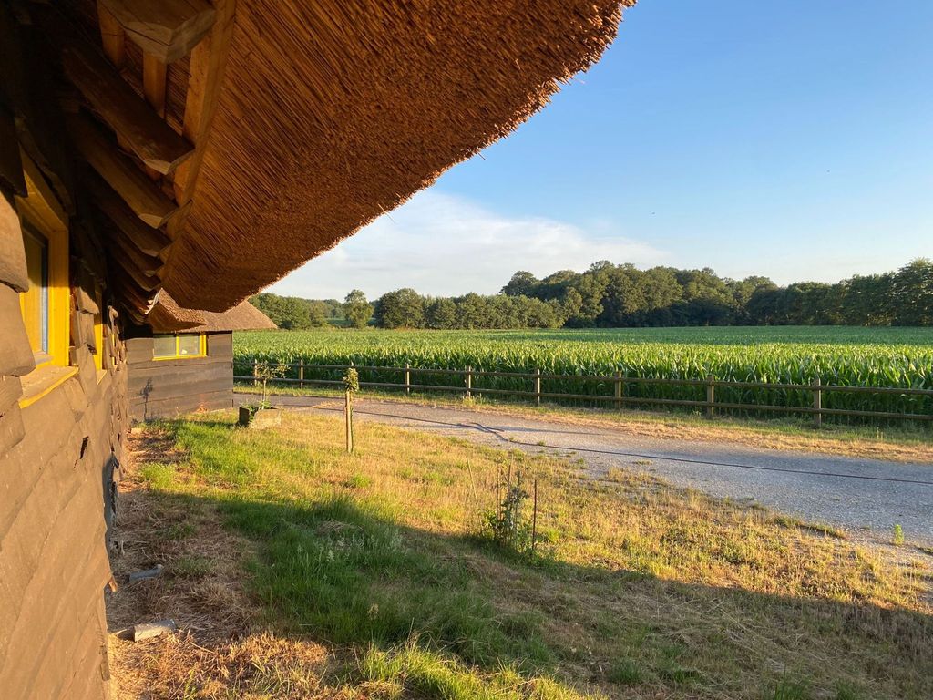 Hohenheide stable - quiet idyll on the Hessel river