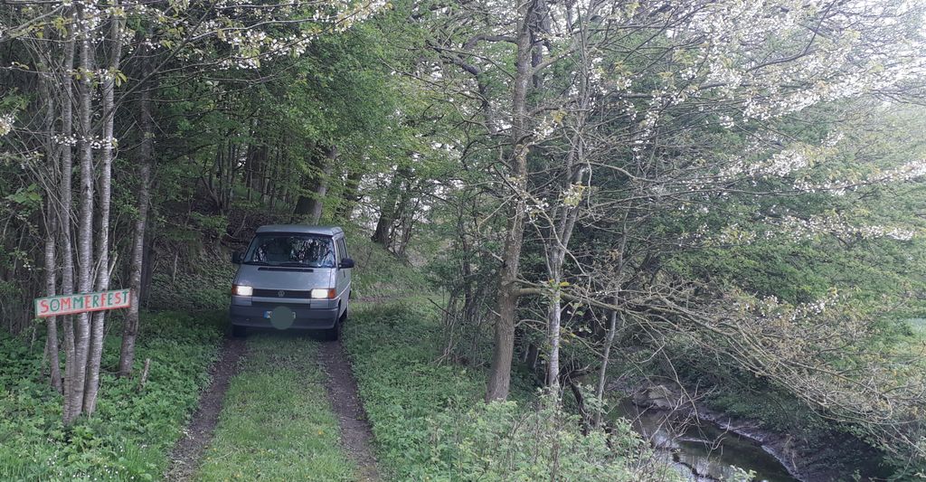 Pradera aislada junto a un pequeño bosque en un lugar apartado