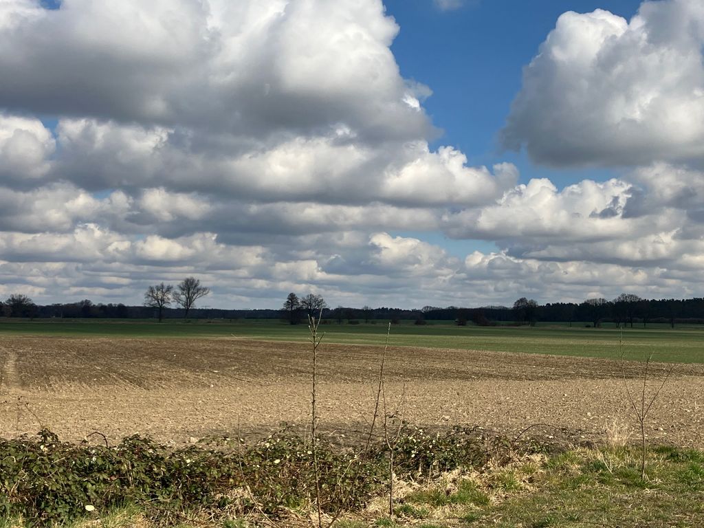 Stellplatz am Hofladen mit Ackerblick
