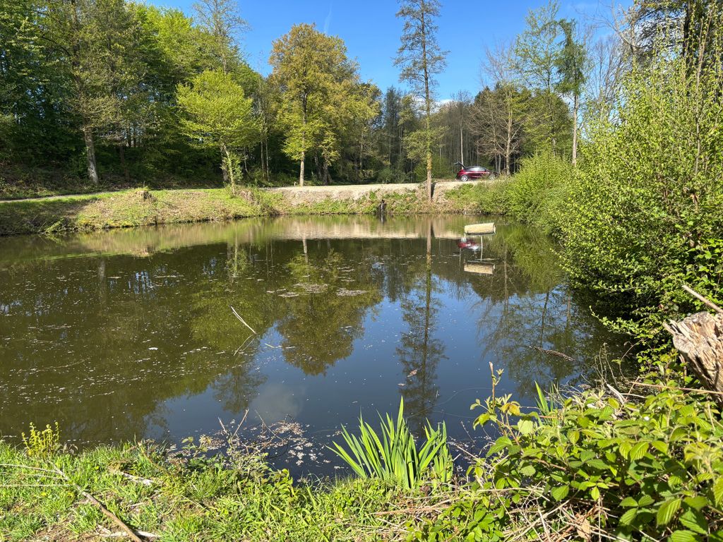 Auszeit am Wasser