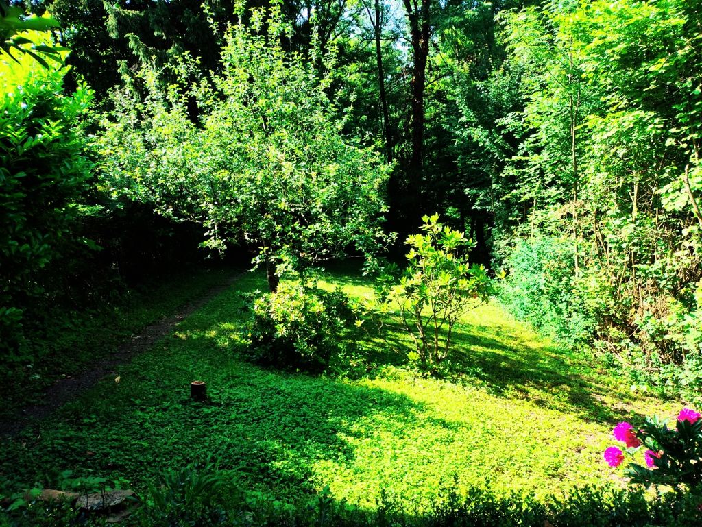 Zeltplatz in Naturoase am Esslinger Höhenweg