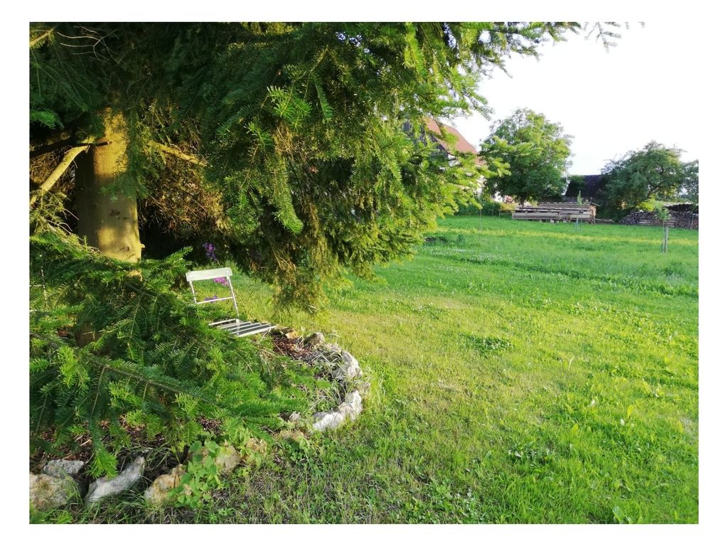 Campeggio nella foresta della Svizzera francese