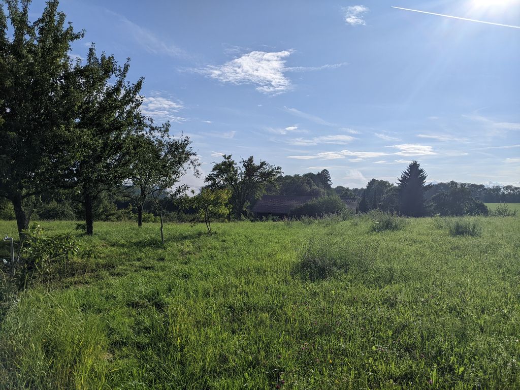 Swabian Alb: Field, forest and meadow