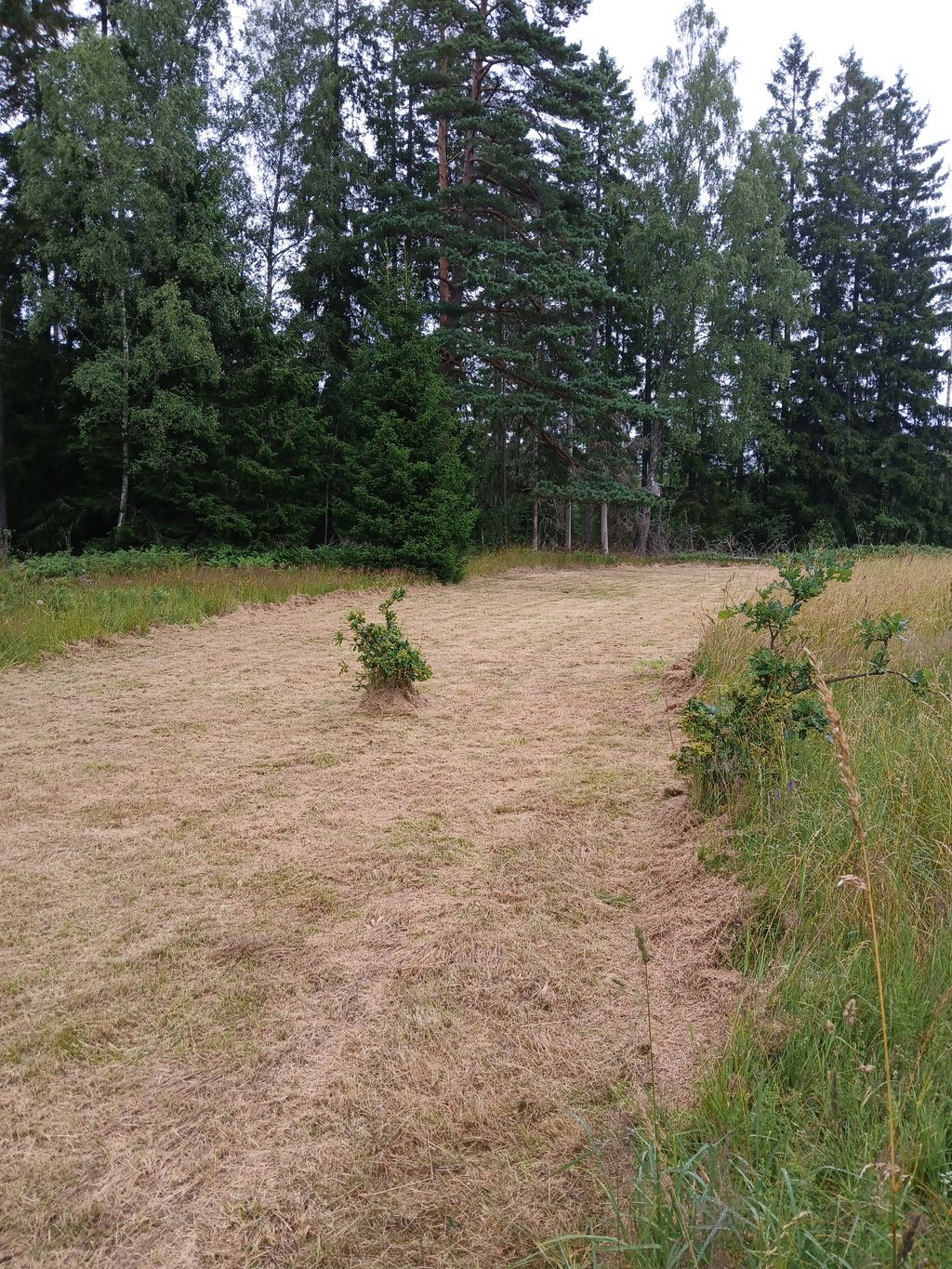Emplacement dans un endroit absolument isolé