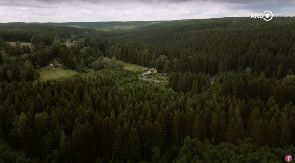Entre bosques y prados en el Wolfsbach