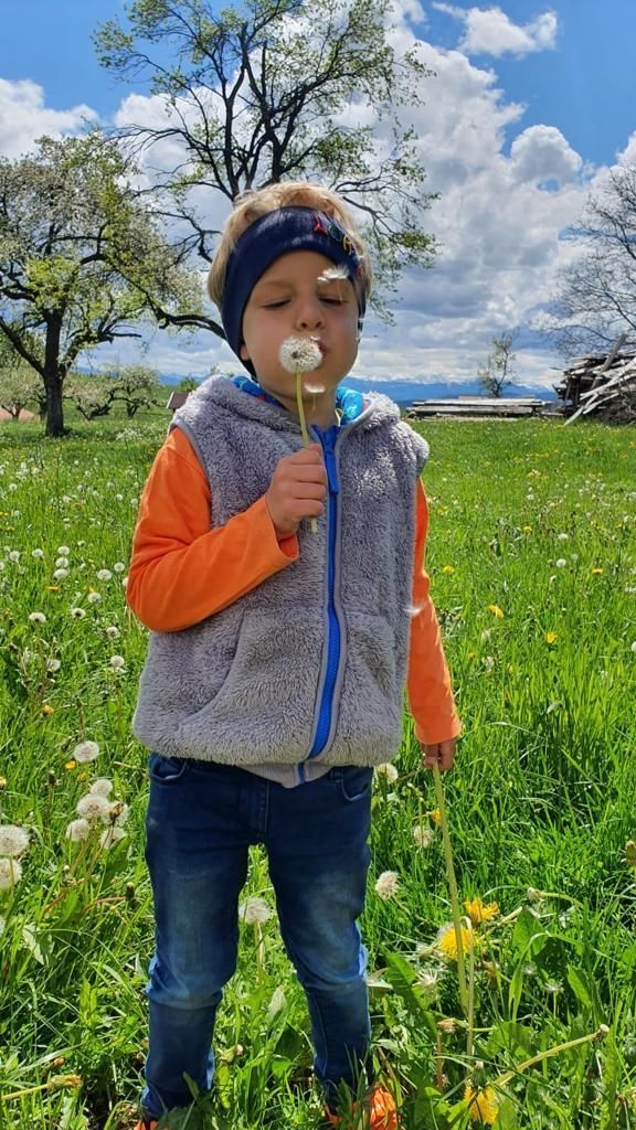 Ferme-camping dans l'Allgäu