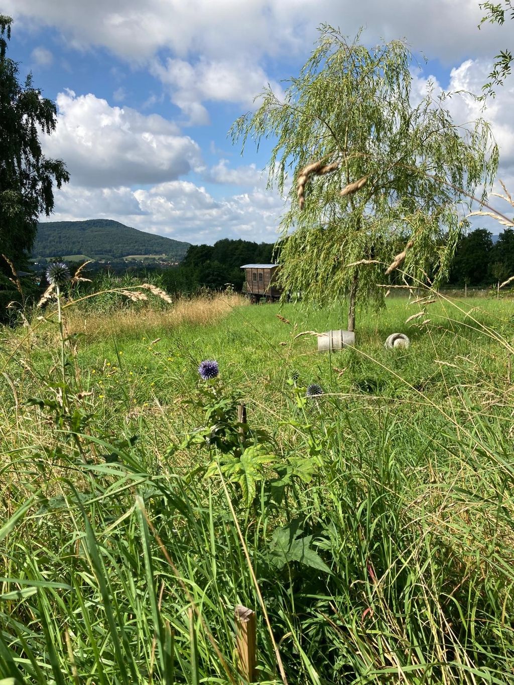 Zelten mit Ithblick am Hang des Osterwaldes