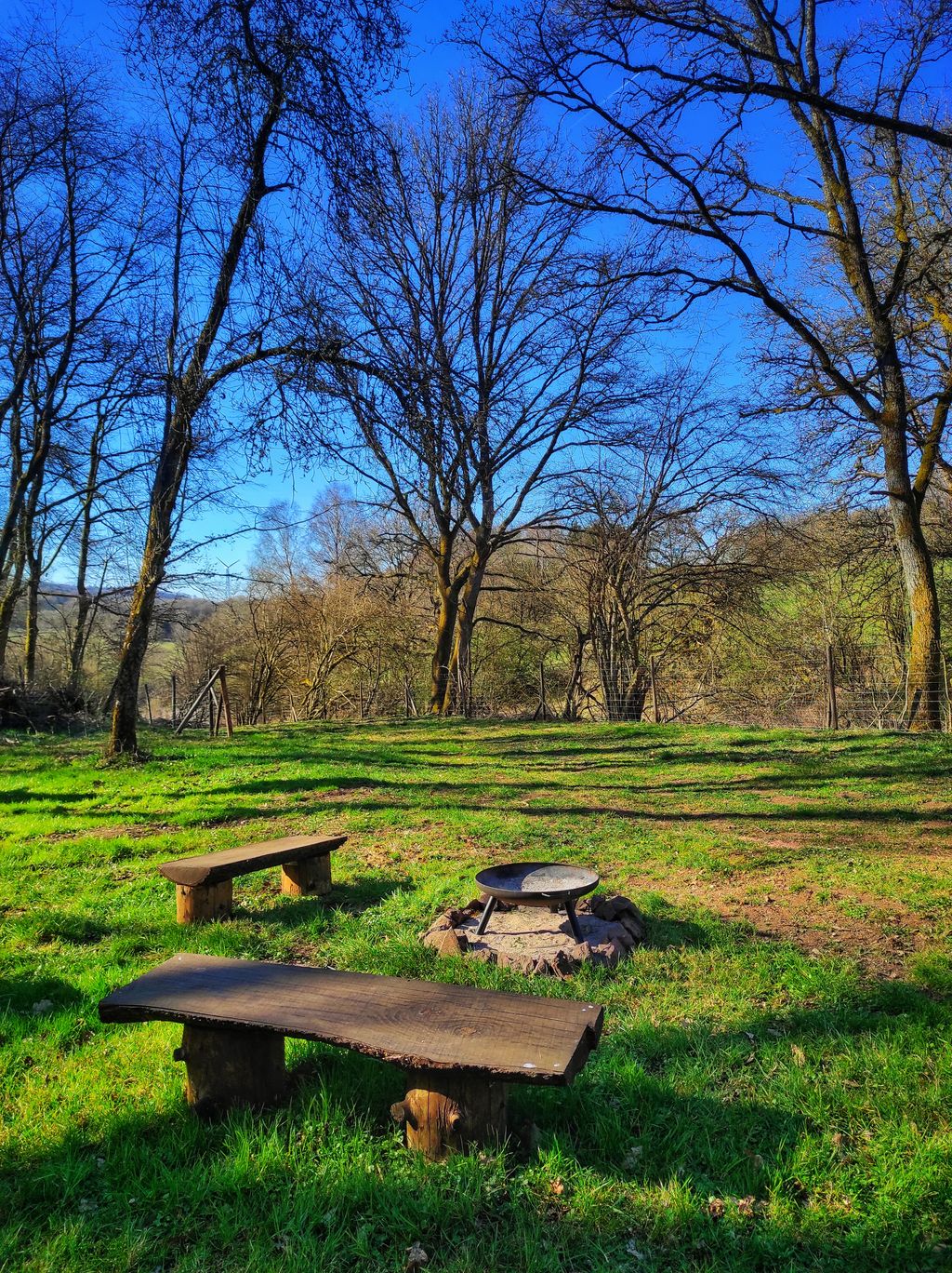 Ein Platz im Grünen unter einem Walnußbaum
