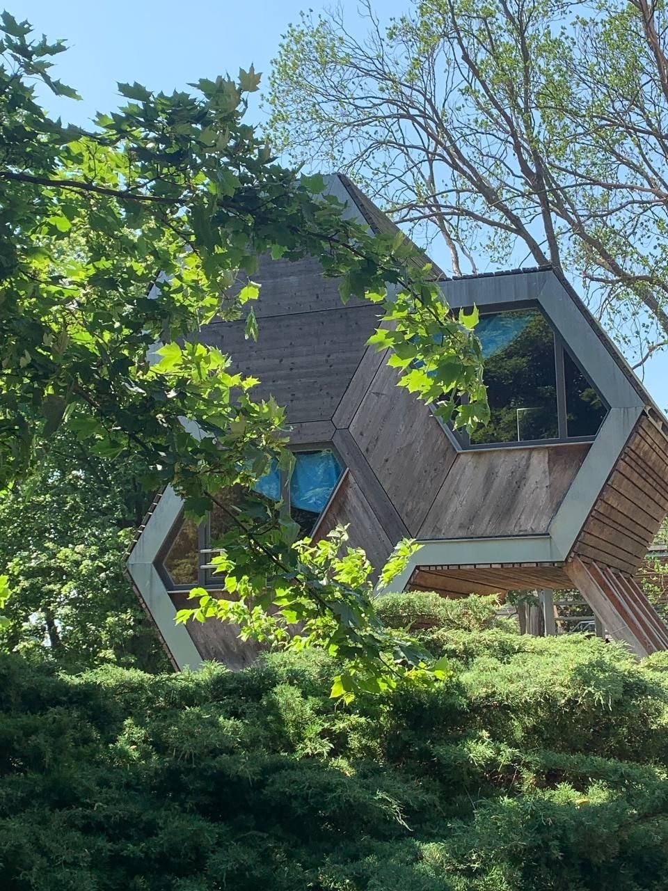 Honeycomb house tree house- only 800 meters to the Baltic Sea
