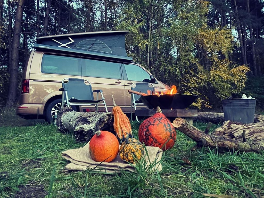 Green meadow in the forest or idyllic yard parking lot
