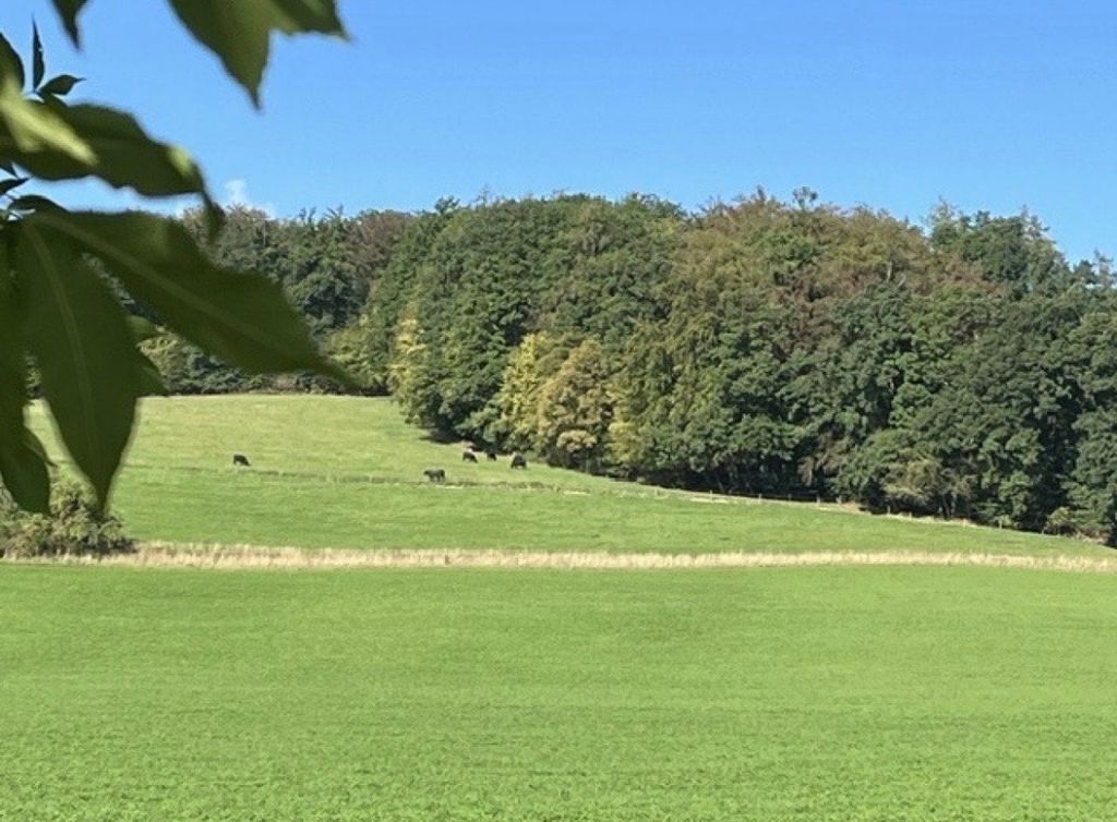 Vista sull'Hutzberg con area barbecue e piscina estiva