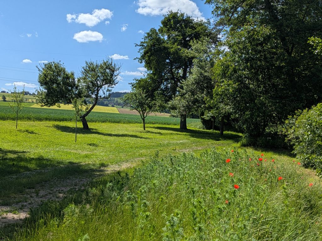 Idyllic pitch - close to nature & quiet