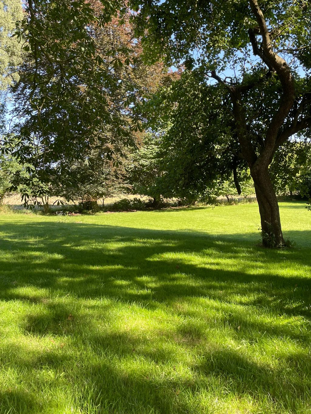Obstgarten in Alleinlage an der Flensburger Förde 