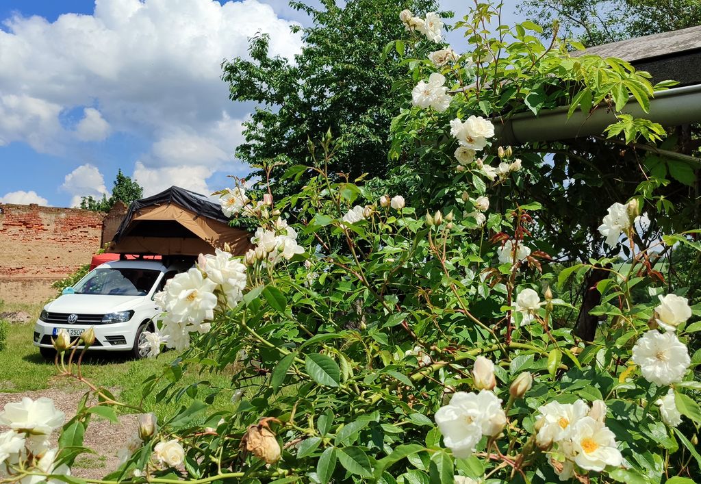 La Bella Durmiente en la Toscana sajona