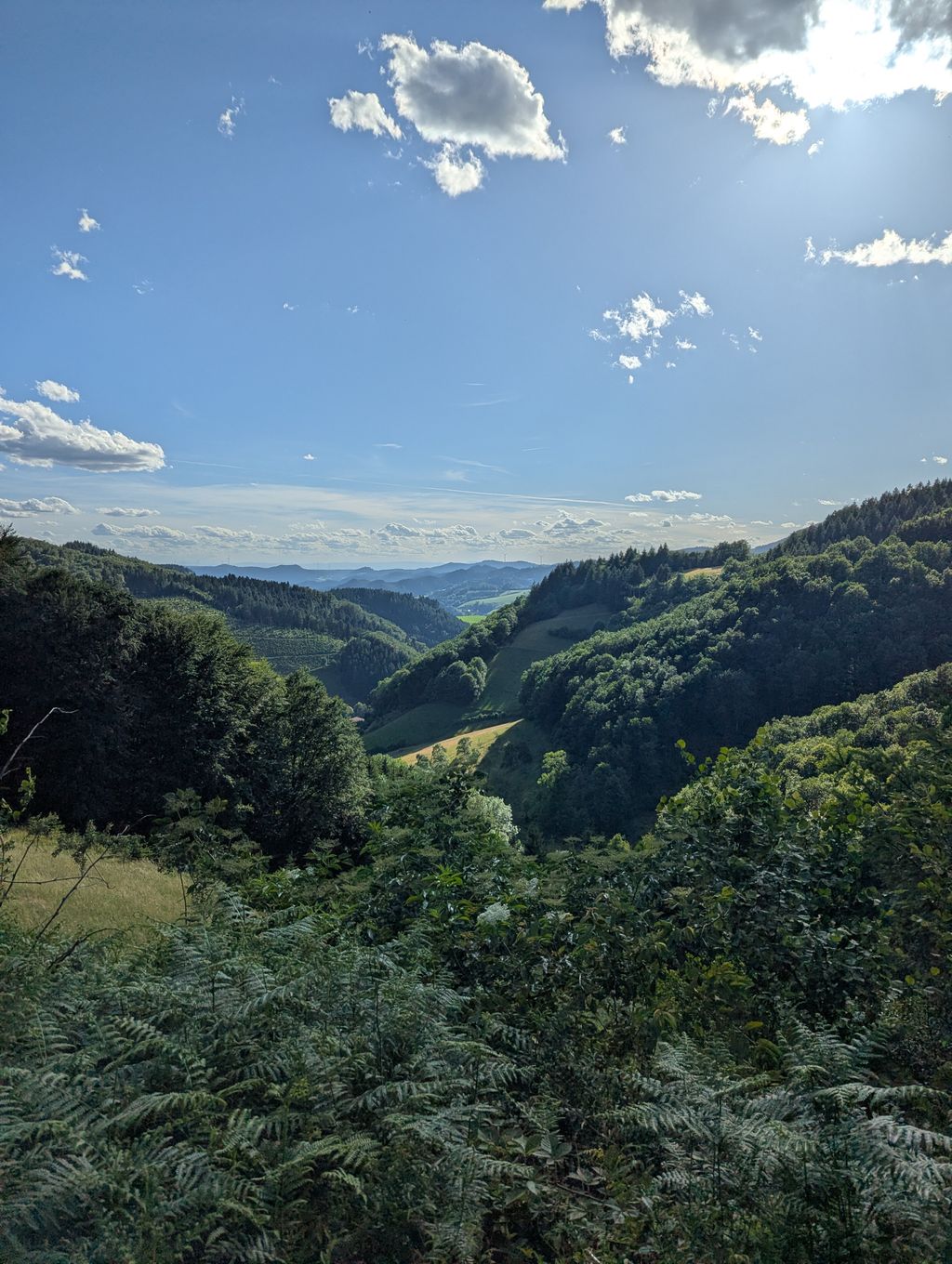 Vacation in the Black Forest vacation farm for campers