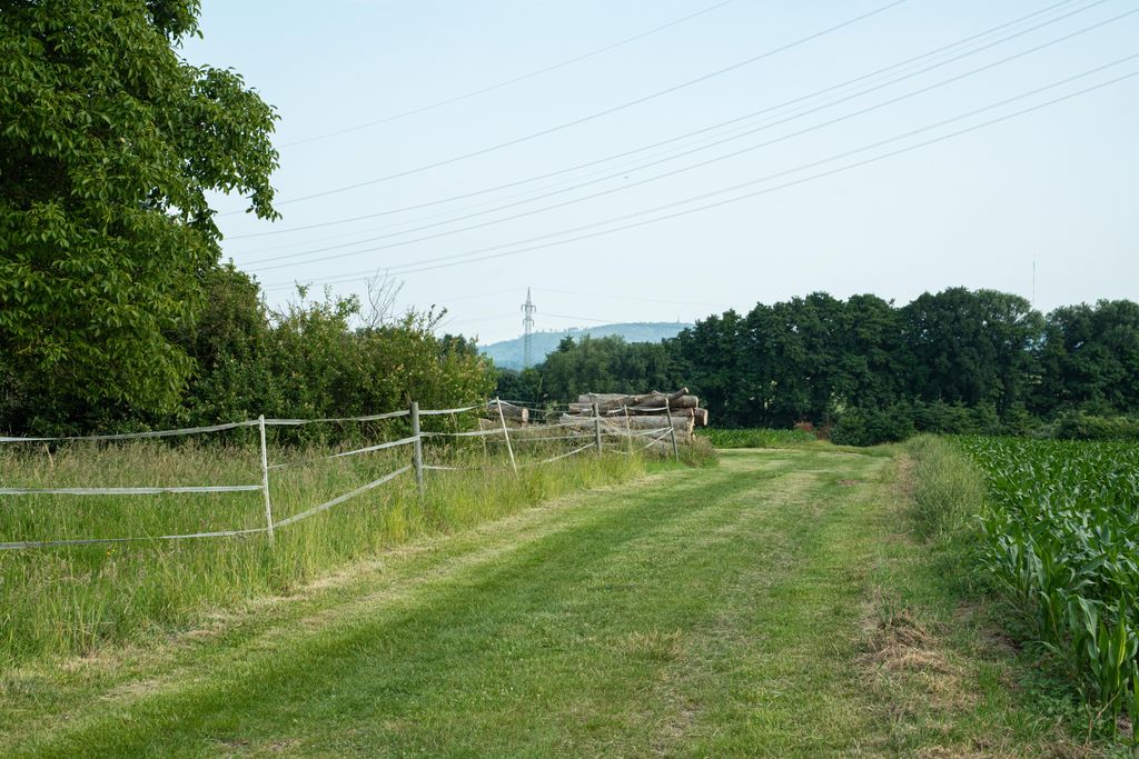 Natur pur – ruhiger Stellplatz für entspannte Tage