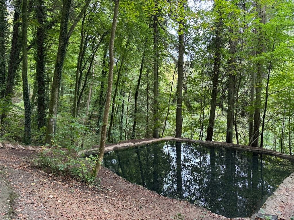 Mini campamento en una antigua granja con instalaciones sanitarias y electricidad