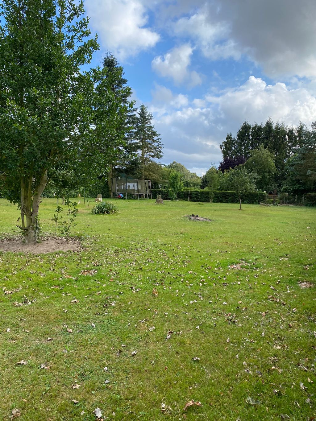 Rundum eingezäunte Wiese im Dorf der Pferde