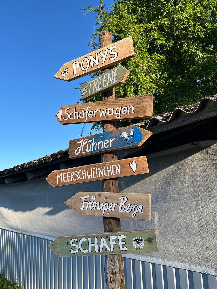 Resthof im Grünen mit vielen Tieren nahe Dänemark