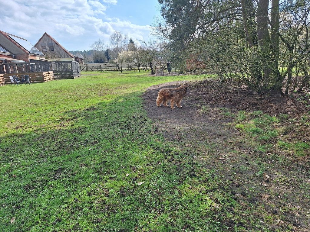 Une tiny-house "ab-hang" à la campagne, à côté d'animaux