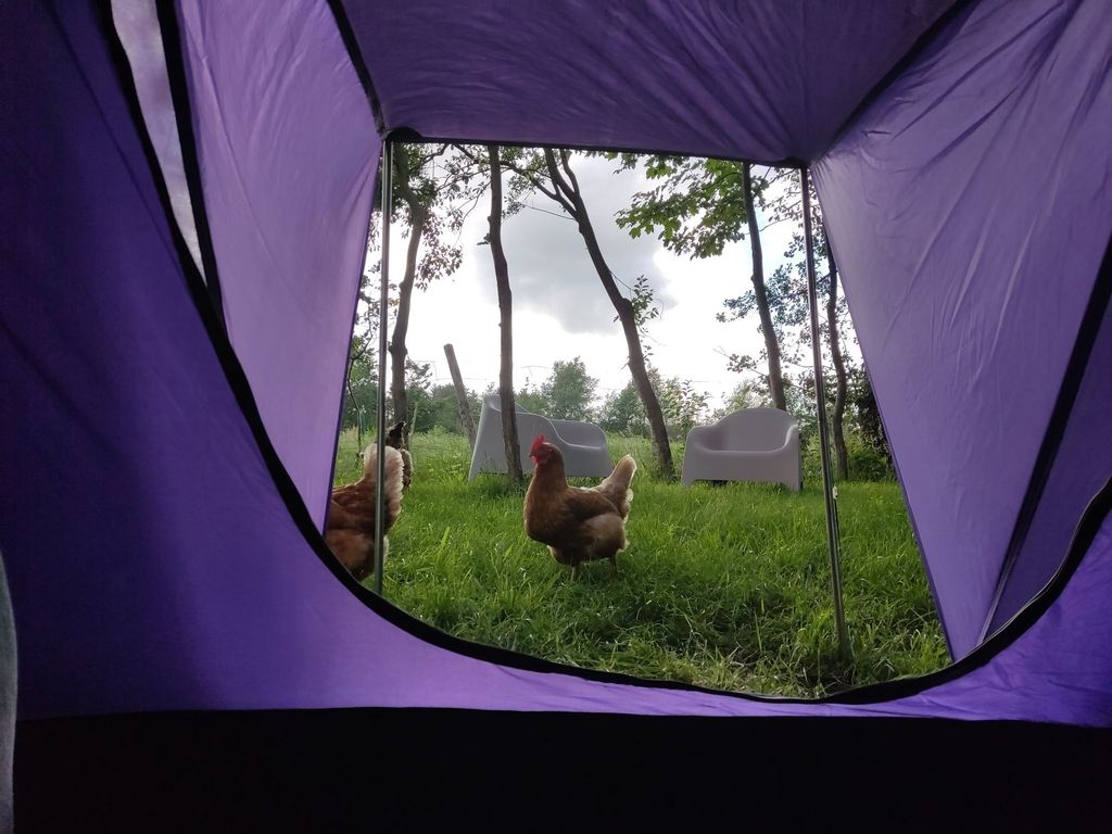 Campground between Hamburg & Cuxhaven under trees