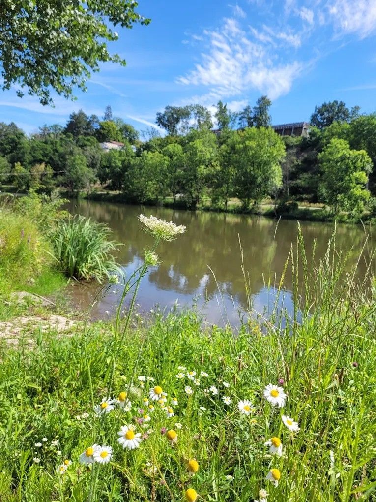Saale-Ufer: Natur-Camping beim Kanu-Club