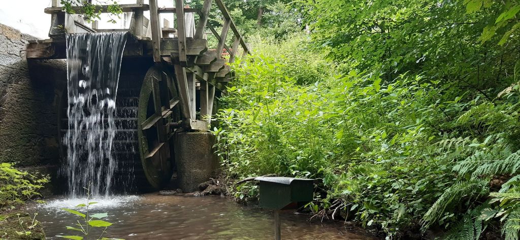 Camping zwischen Wald und Zivilisation