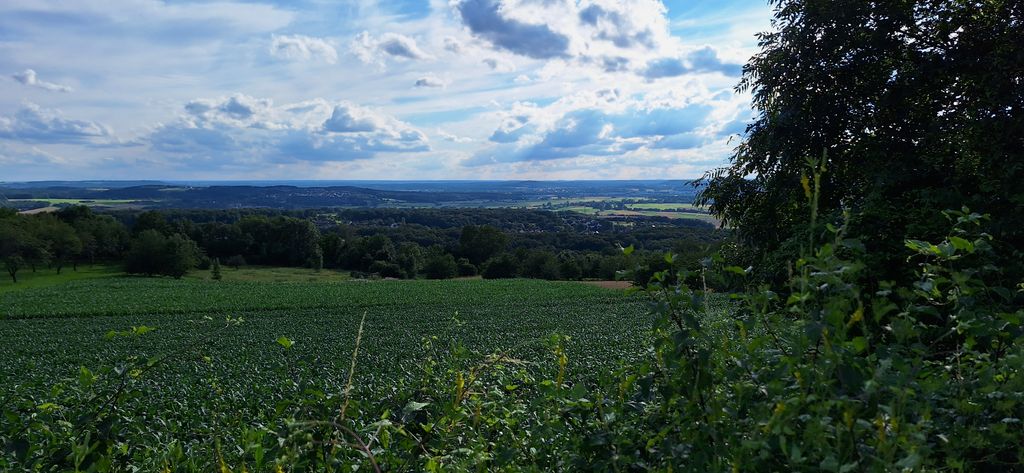 Il mio giardino nella Svizzera francese per voi