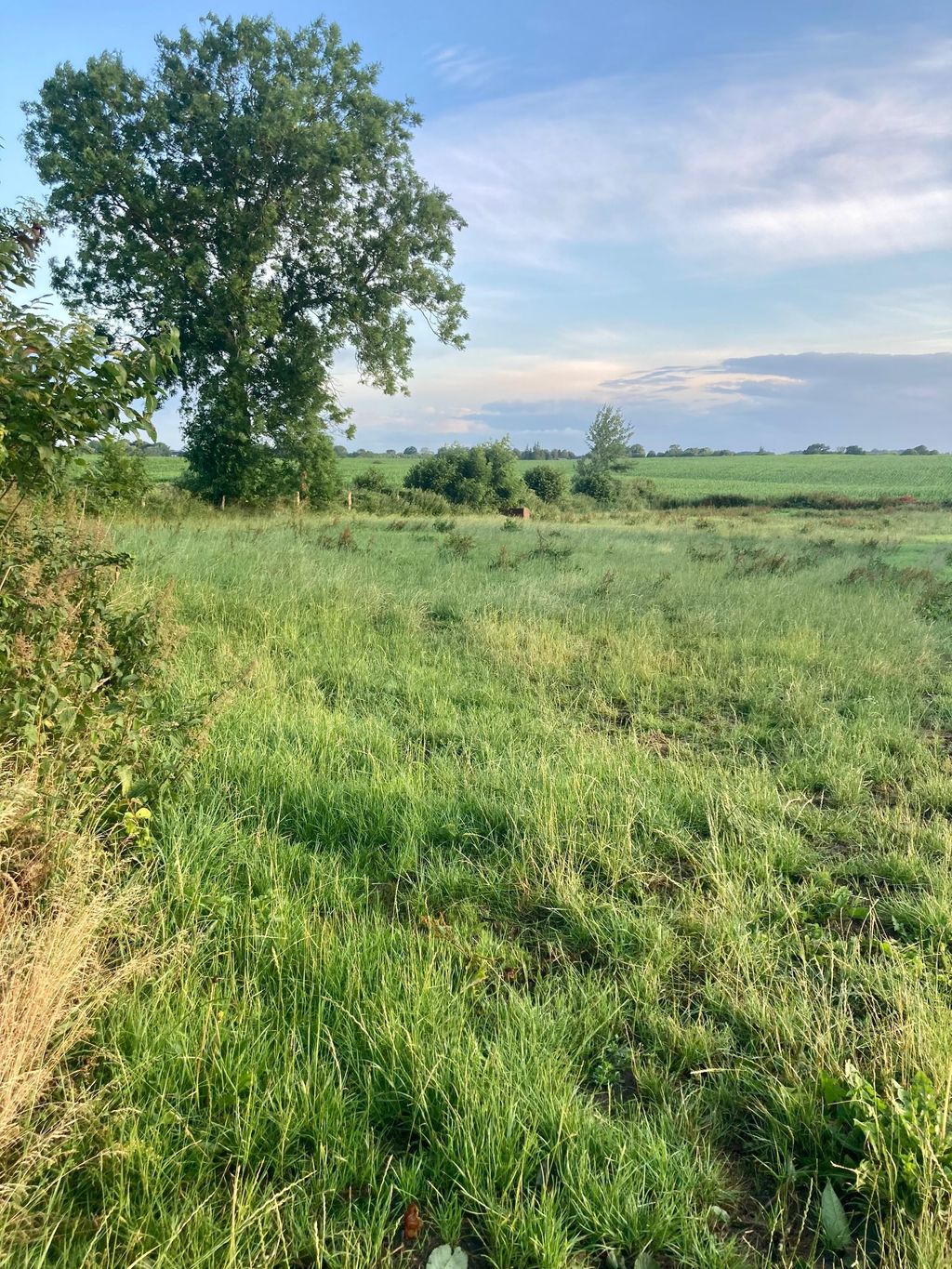 Pradera en el resto de la granja con vistas al campo