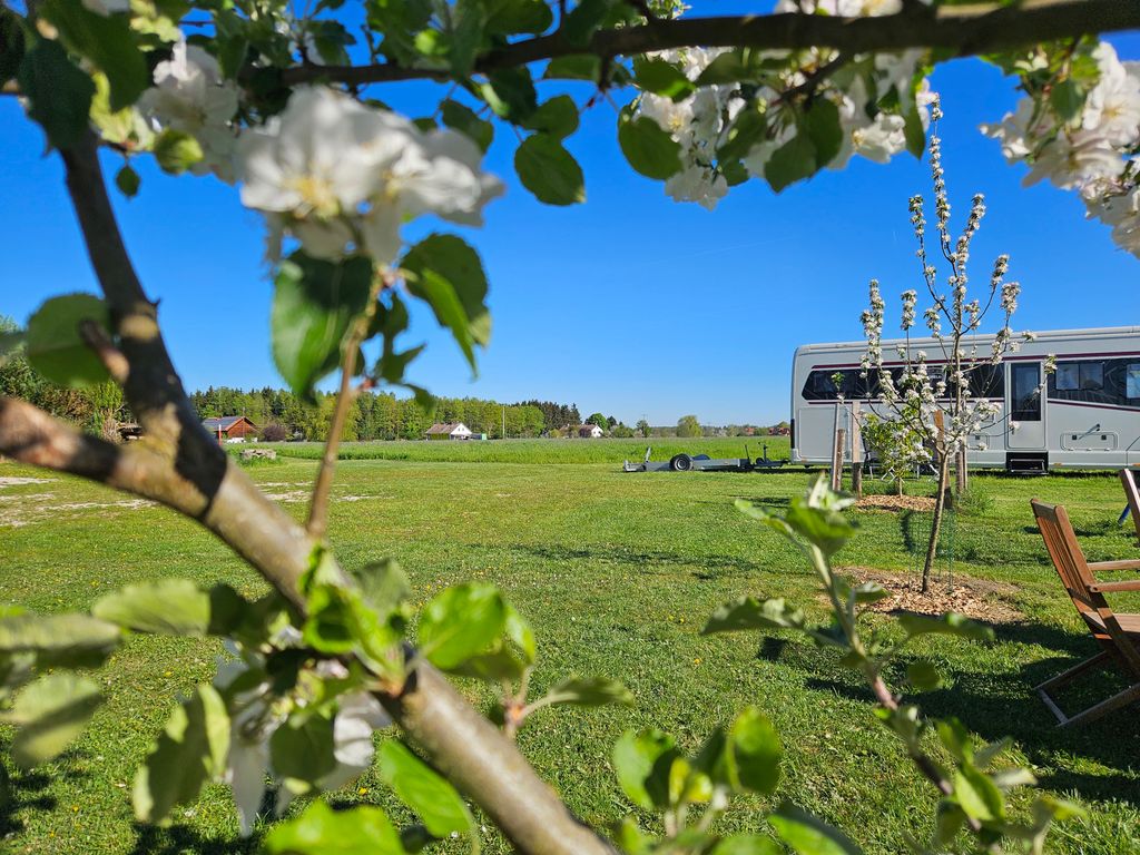 Relaxation among the fields near Munich