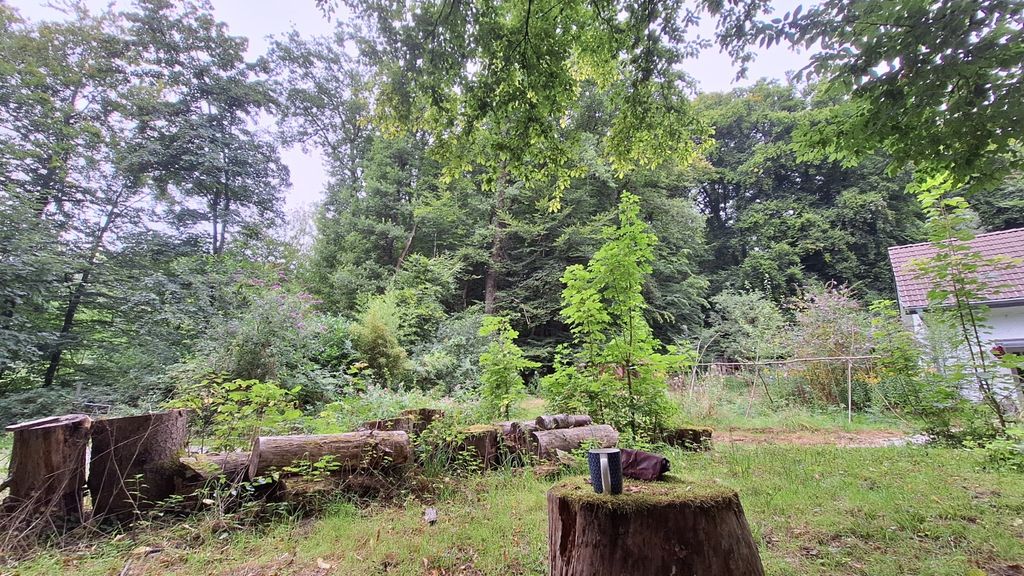 Mitten im Wald – Natur, Sauna & Sterne