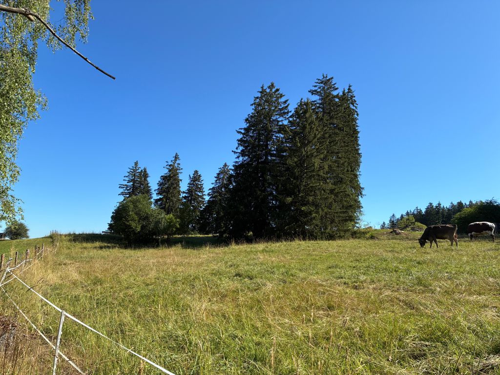 Un emplacement absolument isolé dans l'Allgäu