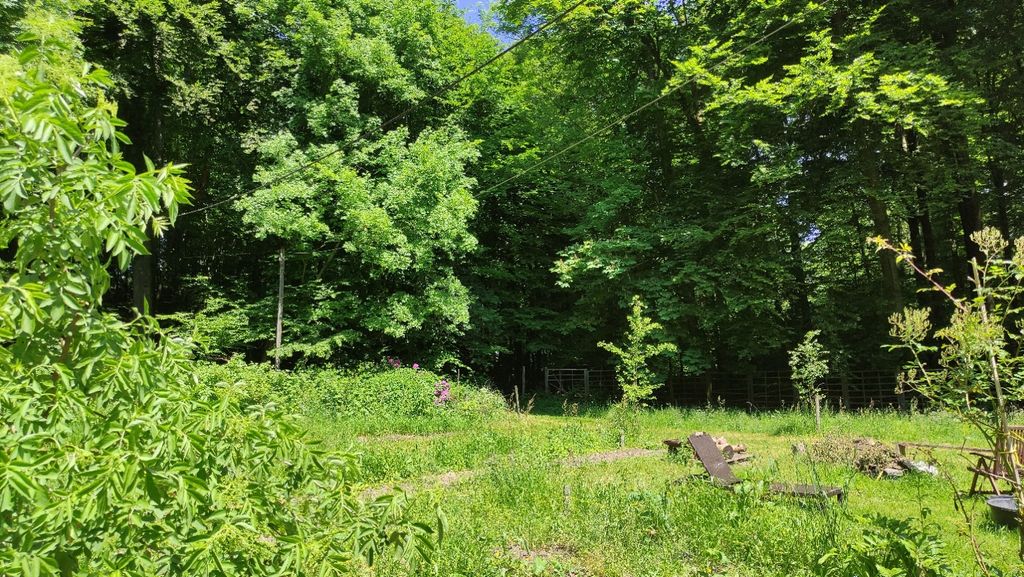 Mitten im Wald – Natur, Sauna & Sterne