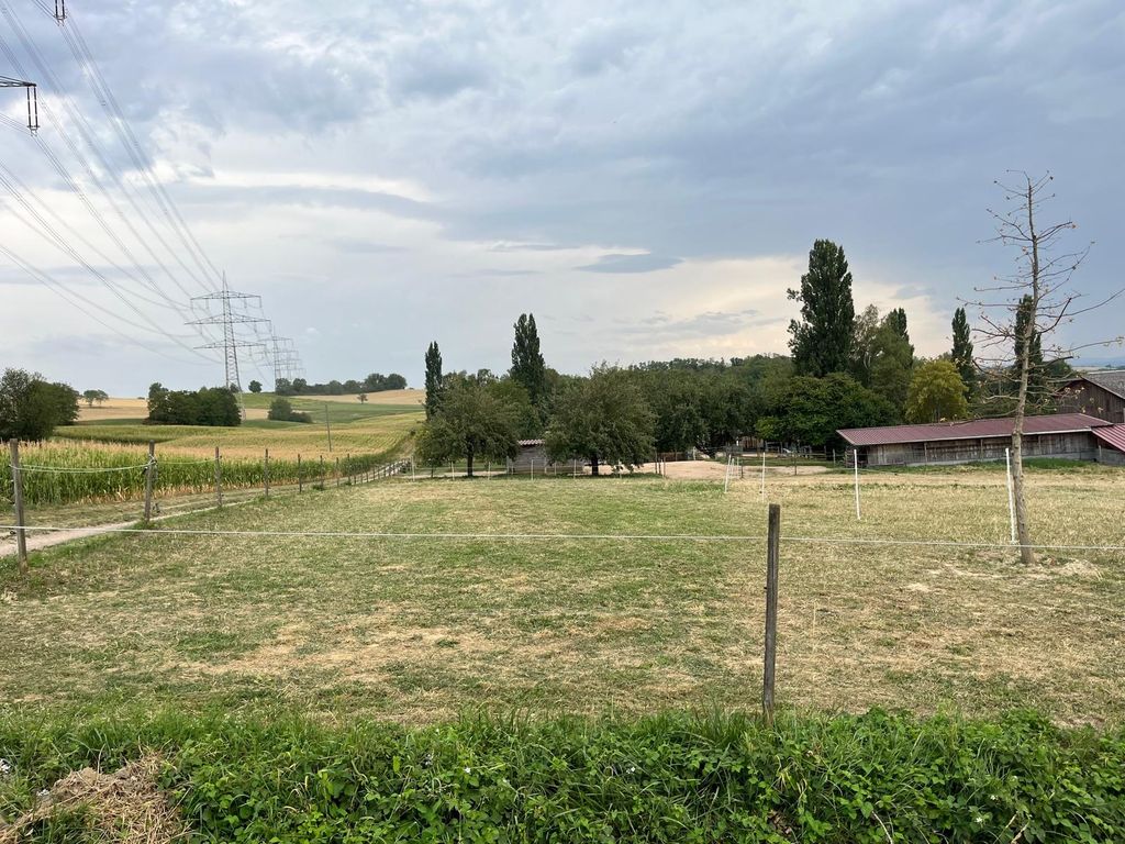 Stellplätze am Bauernhof mit Panoramablick Natur