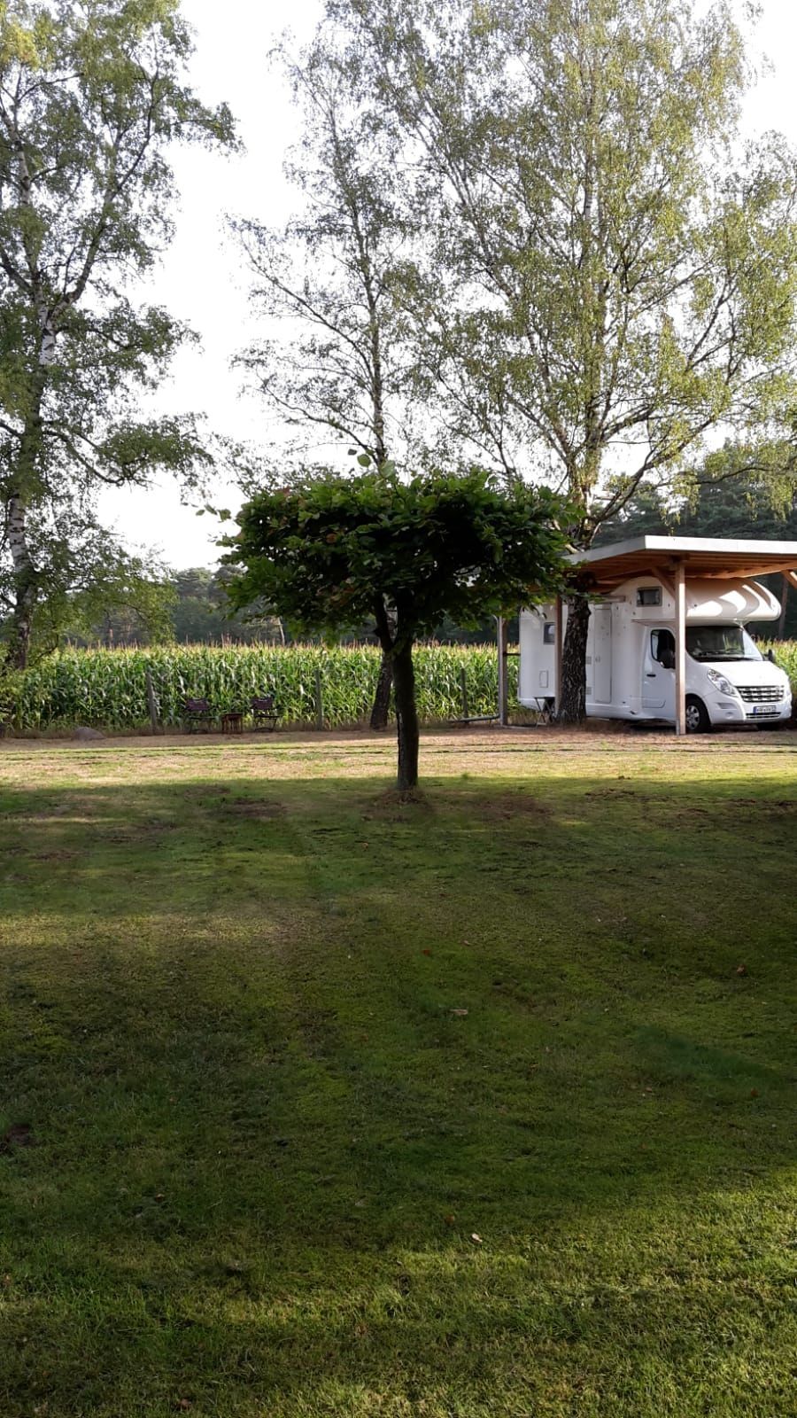 Alone location in the Ems floodplains