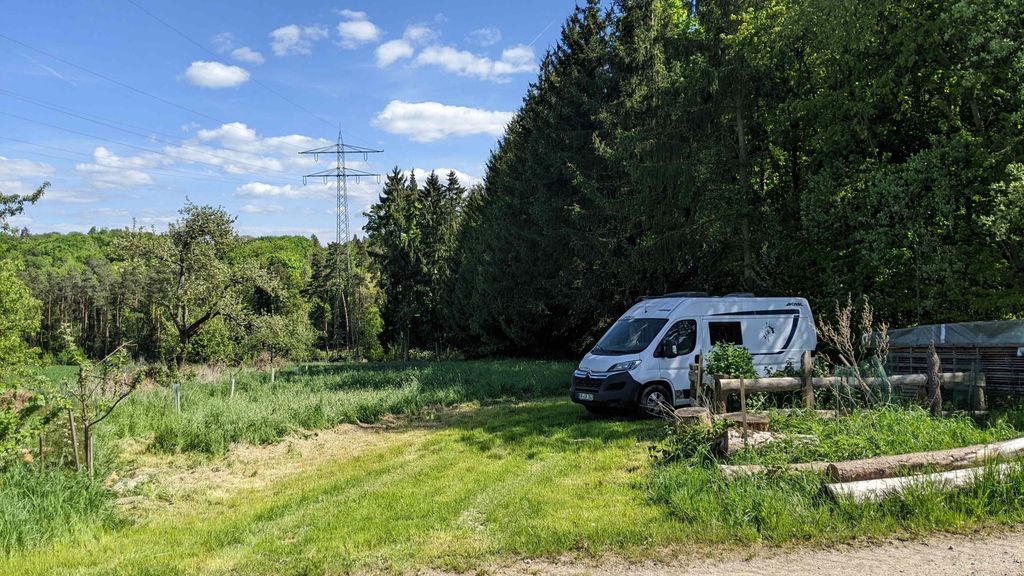Despacio en la pradera del bosque
