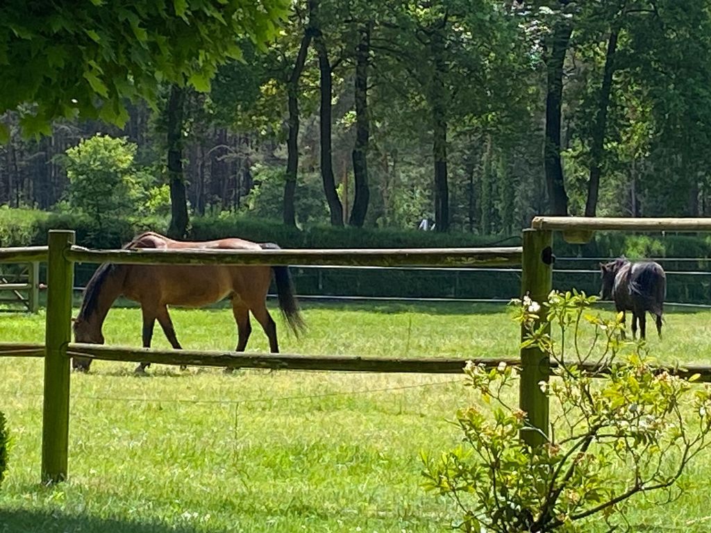 Quiet pitch at a private equestrian center