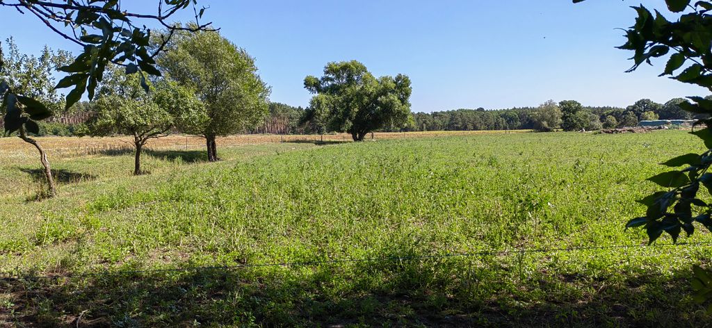 In campeggio tra lo Spreewald e il Seenland