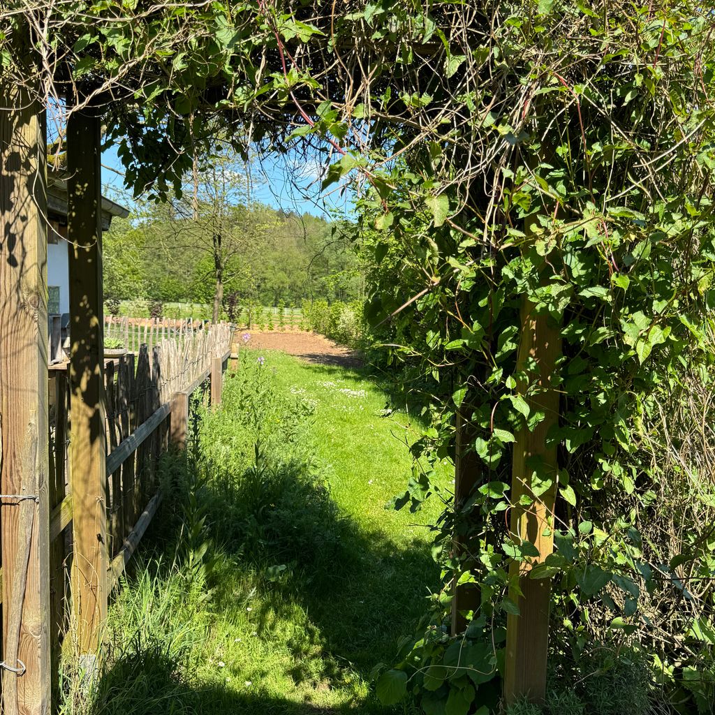 Mini campamento en una antigua granja con instalaciones sanitarias y electricidad
