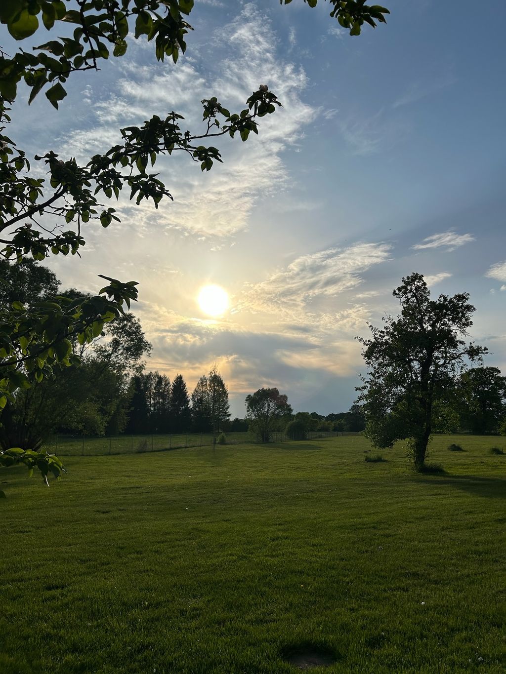 Natur-Idylle am Hof: Ruhe & Lagerfeuer-Romantik