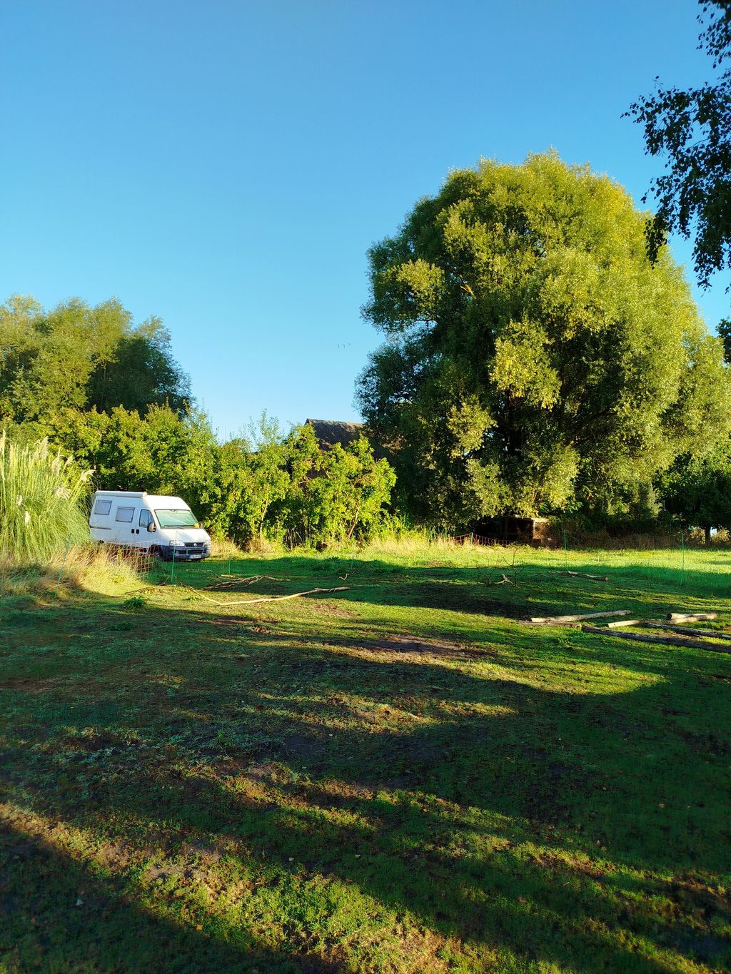 Aire de camping-car dans le Wendland avec des ânes