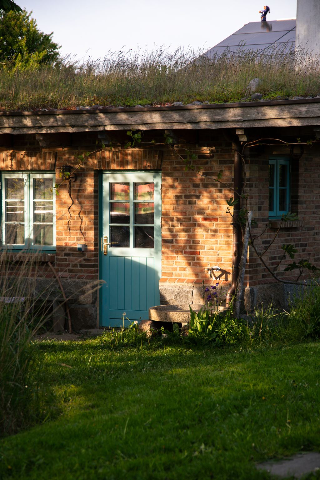 Wild meadow Siegum - on foot to the Baltic Sea