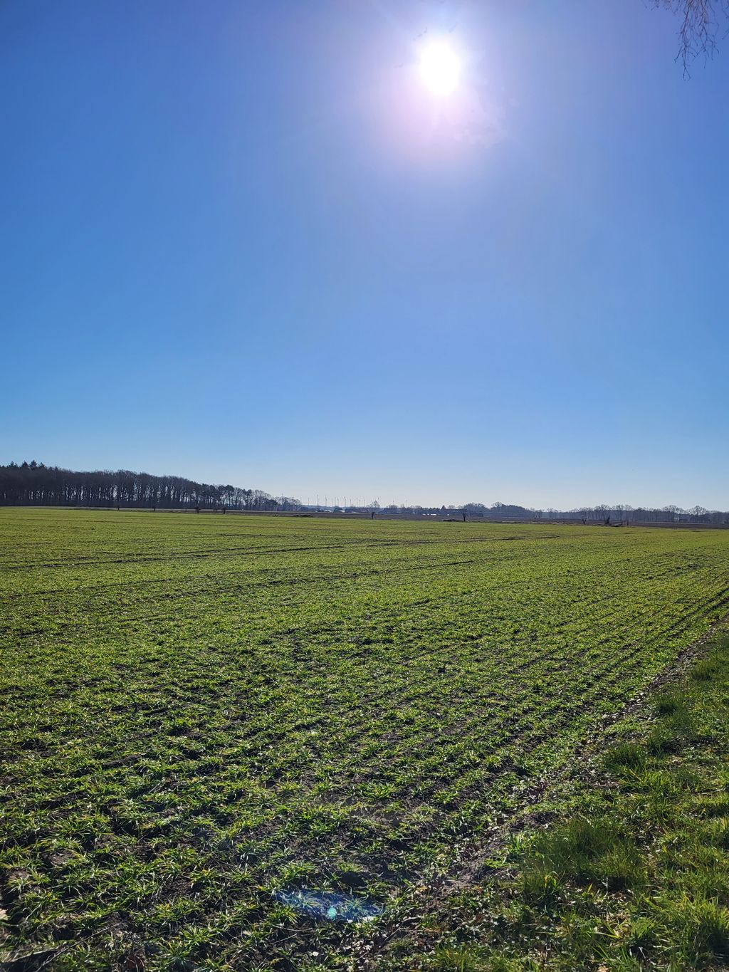 Stellplätze im Grünen am Schwinge-Wiesental