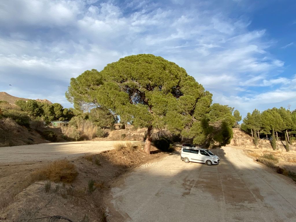 Quiet camp in southern Spain with panoramic views