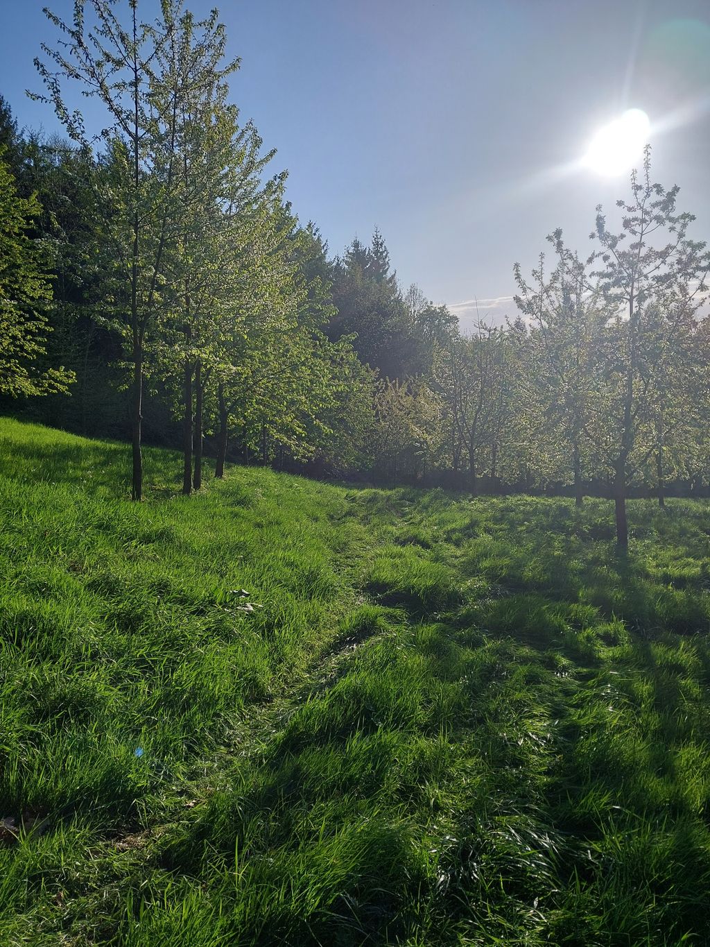 4x4 fuoristrada / campeggio libero in autonomia