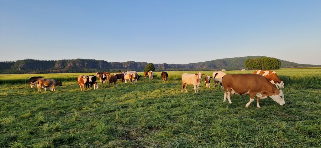 Autark Campingplatz in der Sächsischen Schweiz