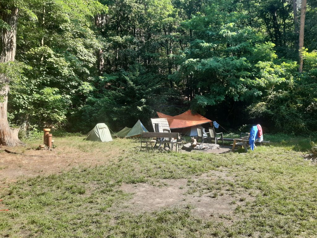 Aire de camping près du Malerweg, dans les montagnes de grès de l'Elbe